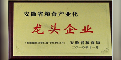 安徽糧食產業(yè)化龍頭企業(yè)
